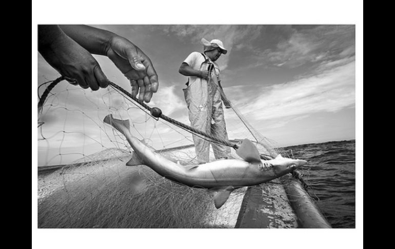 Fotografía de Alejandro Rivas para la agencia internacional Viso Photo ganadora del premio. ESPECIAL  /