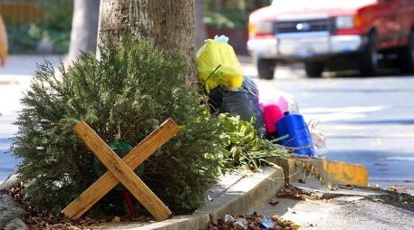 Aunque muchos árboles son tirados, de éstos se pueden reciclar sus bases de plástico, de madera y el acero de los clavos.  /