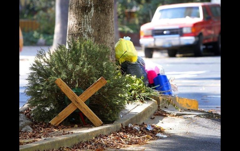 Aunque muchos árboles son tirados, de éstos se pueden reciclar sus bases de plástico, de madera y el acero de los clavos.  /