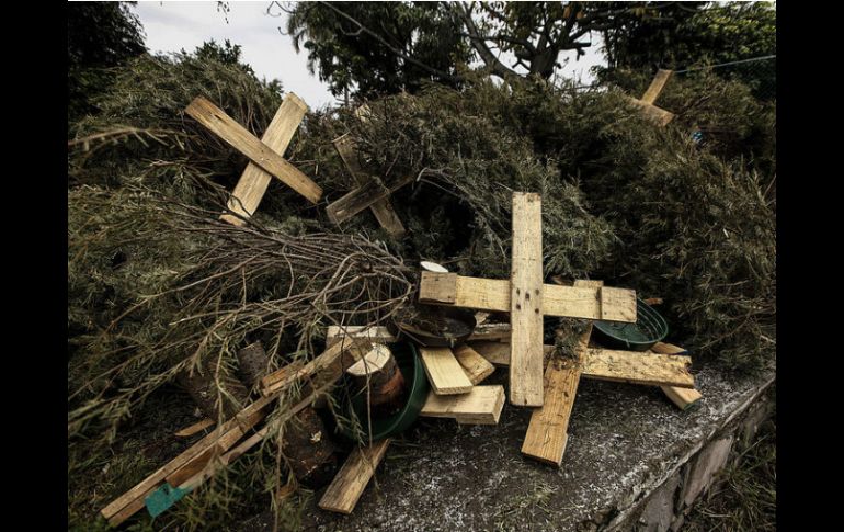 A los ciudadanos que acudan a llevar su árbol navideño se les obsequiará una planta de ornato. EL INFORMADOR / ARCHIVO