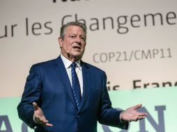 En el marco del ''Día de acción'', Gore se muestra convencido de que el mundo cambiará los esquemas de consumo y producción. EFE / C. Petit Tesson