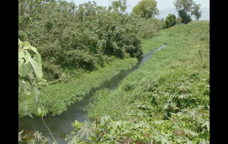 Las principales problemáticas son el uso de fertilizantes, pesticidas y herbicidas químicos. EL INFORMADOR / ARCHIVO