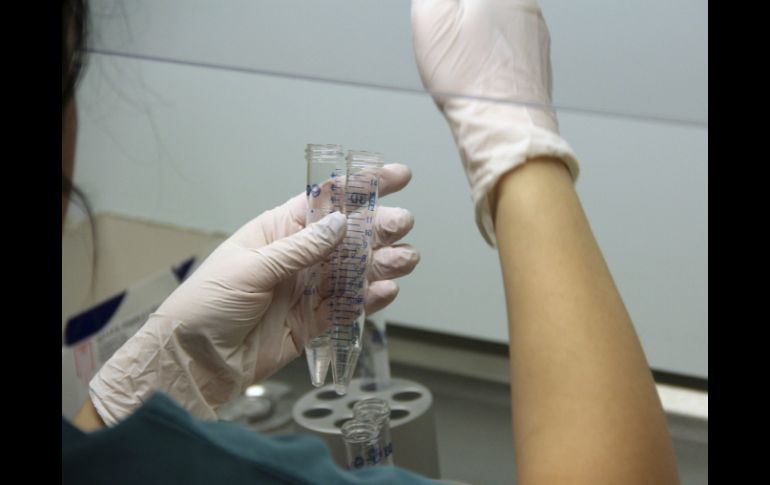 El estudio se realiza con una biopsia para sustraer una o varias células del embrión durante el quinto día de desarrollo. EFE / ARCHIVO