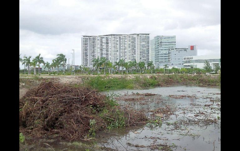 La dependencia federal impuso una clausura total temporal de obras. SUN / ARCHIVO