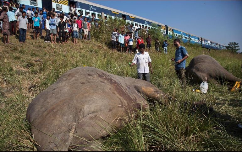 El incidente ocurre cerca de la ciudad de Gauhati, en el noreste de la India. AP/A. Nath