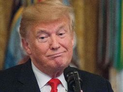 El presidente estadounidense afirma que Jamie Dimon es un mal orador y un manojo de nervios. AFP / N. Kamm