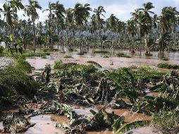 Aseguran que en otras contingencias, como la ocasionada por el paso del huracán 