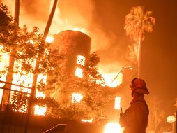 Al menos tres incendios azotan al estado de California en lo que ya una de las peores catástrofes naturales de su historia. A