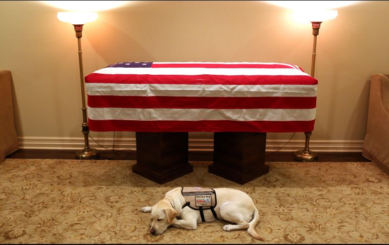 El perro estaba en Houston, Texas, para acompañar el ataúd de su amo a bordo del avión presidencial, Air Force One. EFE/Oficina George H.W. Bush