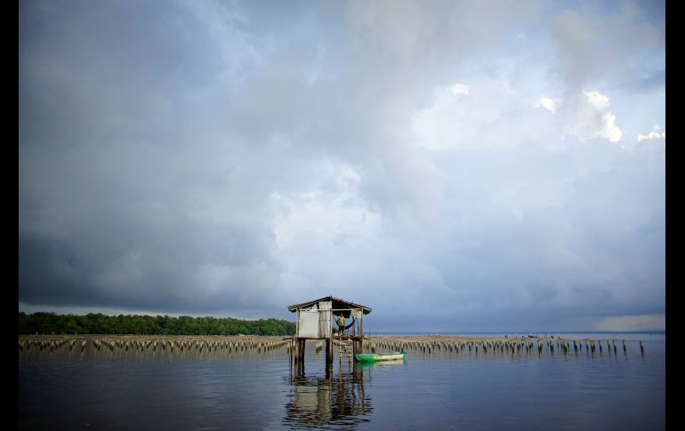 Fortunato Domínguez de la Cruz se para en un refugio en una granja de ostiones. REUTERS/A. Meneghini