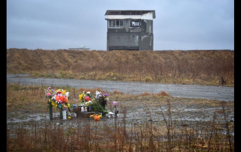 Flores se ven en un sitio azotado por el sismo y el tsunami del 2011 en Namie, Japón, en el octavo aniversario del desastre. AFP/JIJI PRESS