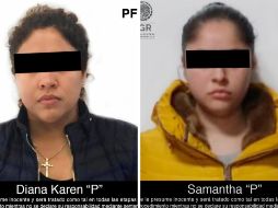 Los detenidos y los objetos asegurados serán puestos a disposición del agente del Ministerio Público Federal. TWITTER / @FGRMexico