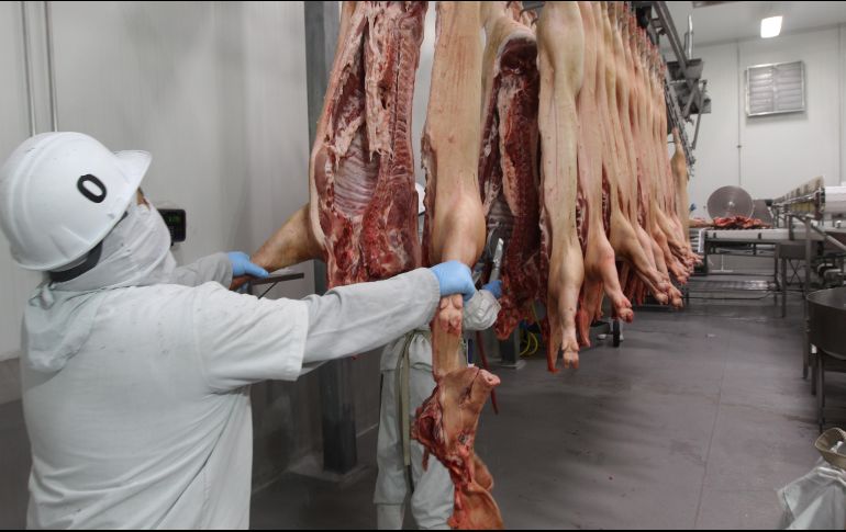 Entre las irregularidades encontradas está la falta de aturdimiento previo al sacrificio de animales. EL INFORMADOR/G. GALLO
