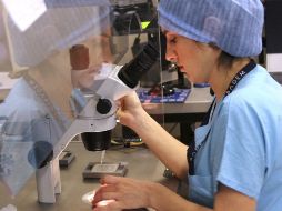 Las pruebas genéticas confirmaron que ni el hombre ni la mujer 