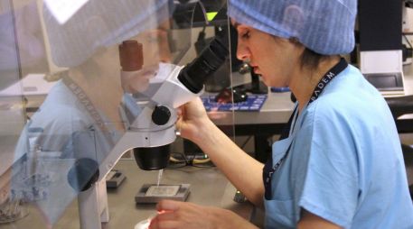 Las pruebas genéticas confirmaron que ni el hombre ni la mujer 