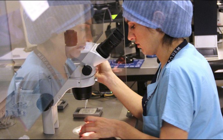 Las pruebas genéticas confirmaron que ni el hombre ni la mujer 