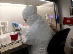 El desarrollo de tecnología y los apoyos a la iniciativa privada son dos de las áreas afectadas. EL INFORMADOR/Archivo