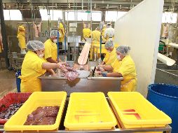 Nafin y Bancomext pretenden canalizar alrededor de 40 mil millones de pesos en inversiones para Jalisco en este 2019. EL INFORMADOR/Archivo