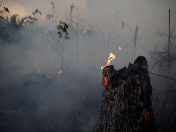 Se han registrado más de 77 mil incendios forestales en Brasil en lo que va del año, según el Instituto Nacional de Investigación Espacial. AP/ARCHIVO