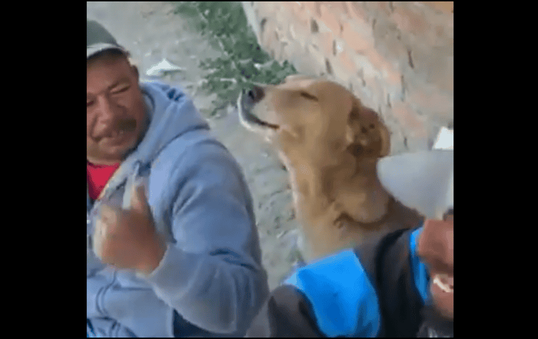 El video del conmovedor momento se viralizó en redes sociales. TWITTER / @michangoonga