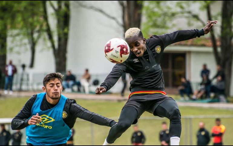 Después de la caída sufrida el pasado fin de semana ante Tampico Madero en el Estadio Jalisco, los Melenudos trabajan intensamente en busca de revertir el tropiezo.  TWITTER / @LeonesNegrosCF