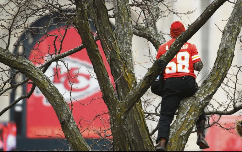 Por las ramas. Algunos treparon árboles para tener una mejor vista de la fiesta. AP / C. Riedel