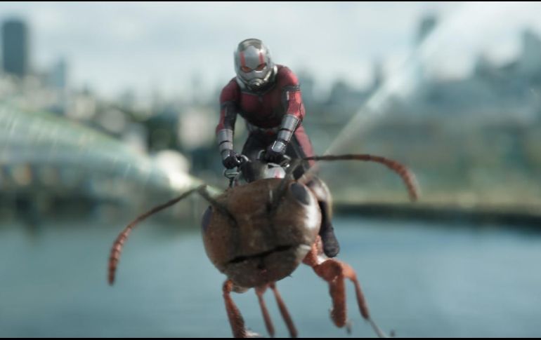 La anterior entrega, “Ant-Man and the Wasp”, fue la película número 20 de Marvel Studios y recaudó 76 millones de dólares en su estreno. ESPECIAL/Marvel