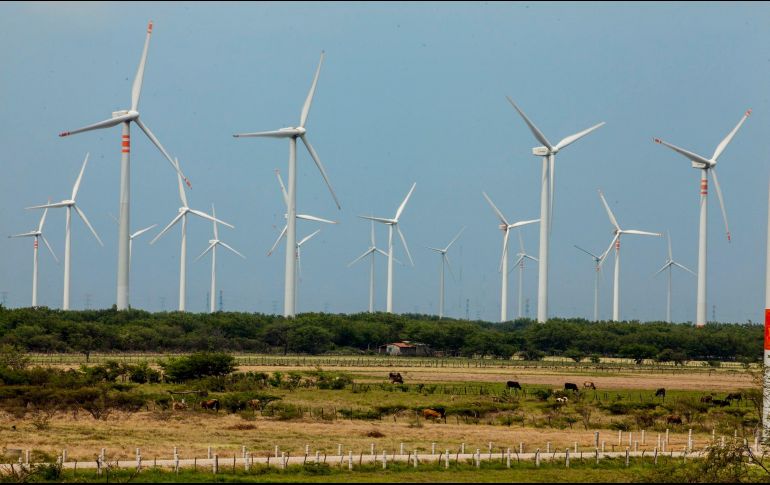También demandan evitar un trato discriminatorio a las centrales de generación de energía renovable. NTX/ ARCHIVO
