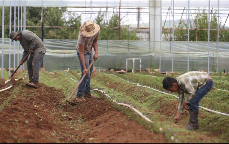 Tanto EU como Canadá tendrán 