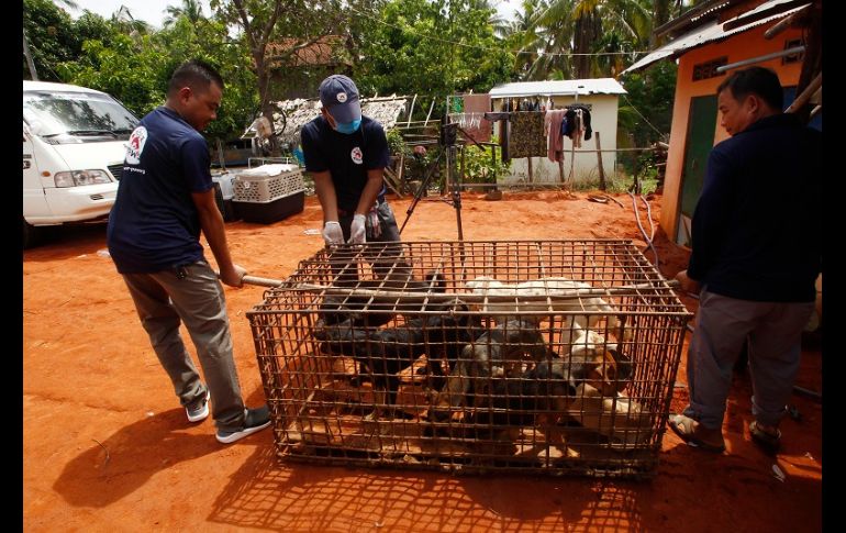 Fotografía cedida por la agencia Andina que muestra al presidente de Perú, Martin Vizcarra (i), mientras toma juramento a Walter Martos (d) como presidente del Consejo de Ministros. EFE/Andina