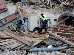 Un trabajador de los servicios de emergencia busca con un perro entre los escombros de los edificios dañados por el terremoto. EFE/A. Bat