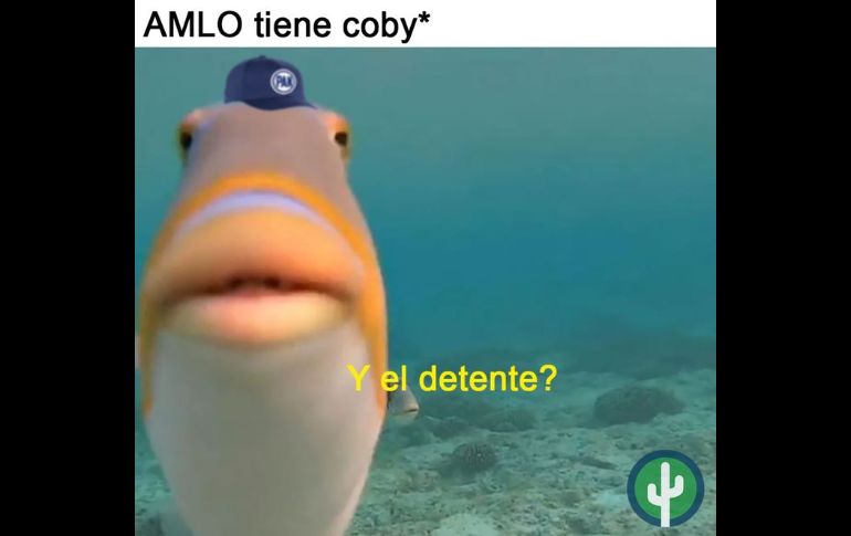 AMLO con COVID-19: Los mejores memes que circulan en la red
