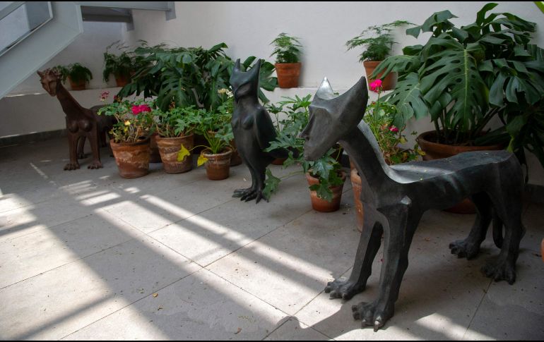 En la casa museo, situada en el icónico barrio de la Roma, hay 45 obras escultóricas y cientos de objetos que Carrington usó. AFP / C. Cruz
