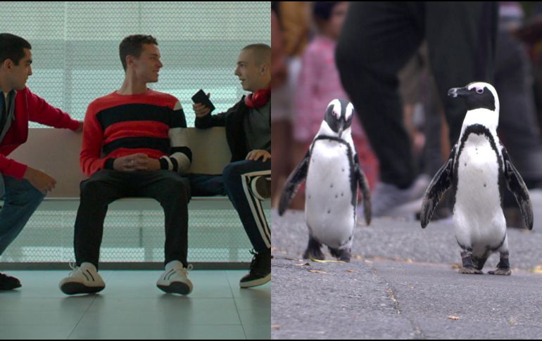 “Élite historias breves: Ander Omar Alexis” y “Colonia Pingüino” llegan a Netflix este miércoles. CORTESÍA / Netflix