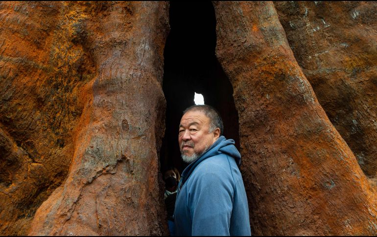 Ai Weiwei. El artista chino hace un llamado a proteger la naturaleza con su nueva exposición, titulada: “Ai Weiwei: Entrelazar, Pequi vinagreiro, Raíces, Figuras humanas”. EFE/M. Riopa