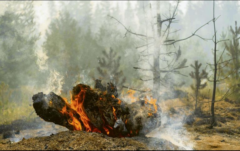 Los incendios han calcinado 400 mil acres de bosque. AFP/M. Rolland