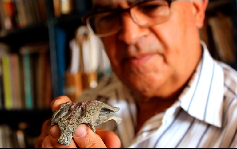 BURKESUCHUS. En la foto, uno de sus fragmentos fosilizados en manos de un miembro de equipo de paleontólogos que lo descubrió. EFE