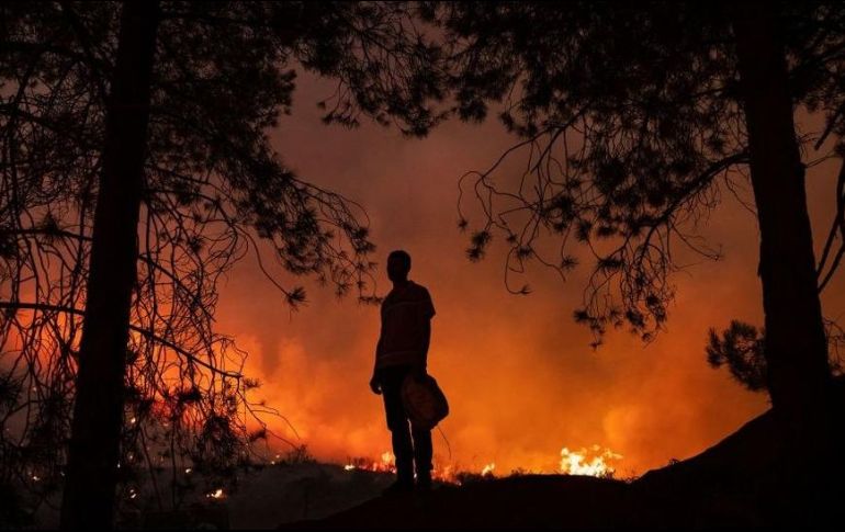 La región de Kabylie fue la más afectada por los peores incendios en la historia de Argelia. GETTY IMAGES
