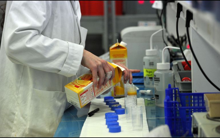 El pasado agosto, un equipo de científicos de Uzbekistán comenzó a desarrollar vacunas comestibles contra el COVID-19. AFP / ARCHIVO