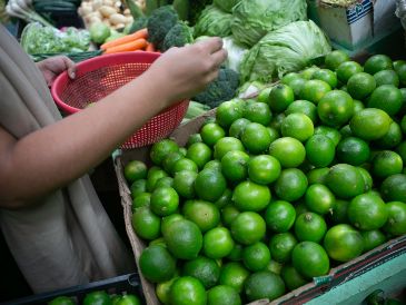 Junto con el limón, el chile poblano y el tomate verde lideran los productos que más aumentaron sus precios de 2021 a 2022. EL INFORMADOR / ARCHIVO