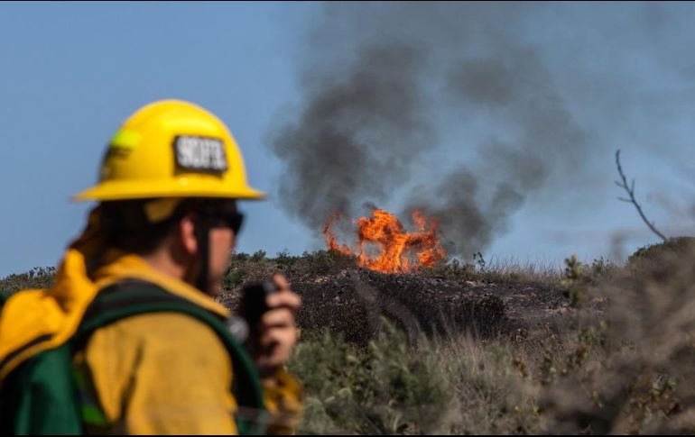 California atraviesa años de intensa sequía y cada vez más dramáticas temporadas de incendios. AFP/A. Gomes