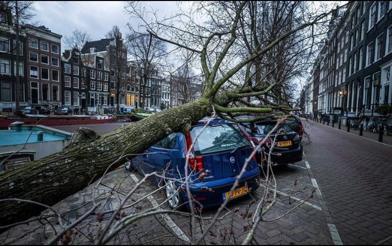 Detalle de un árbol caído sobre varios coches en el Keizersgracht en Amsterdam, tras el paso de la tormenta 