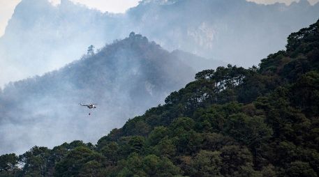 Poco más de 350 elementos de diversas corporaciones, así como nueve helicópteros y 37 vehículos, participan en el combate del incendio forestal. EFE/M. Sierra