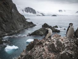 Año con año, la Antártida reduce sus fronteras de hielo. EFE/ARCHIVO