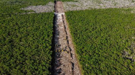 El periodista Ferriz de Con insiste en preguntar: 