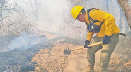 En el municipio zapopano el fuego se reporta cerca del Bosque Nixticuil. ESPECIAL