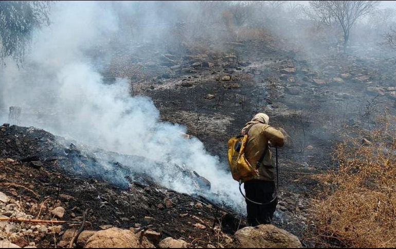 Hasta el 2 de mayo de 2022, en Jalisco se han registrado alrededor de 522 incendios forestales, con una superficie afectada de 20 mil 771.59 hectáreas. ESPECIAL / Protección Civil Tlajomulco