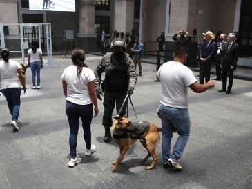 Los canes entrenados son capaces de detectar hasta teléfonos celulares, que son prohibidos en los penales. SUN/J. Alvarado