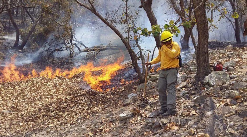 Desde el 14 de mayo se presenta el incendio forestal en Autlán de Navarro. ESPECIAL