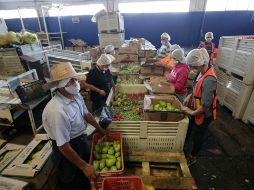 La estrategia se reforzará en los 13 municipios de Jalisco con mayor carencia alimentaria. EL INFORMADOR/ARCHIVO
